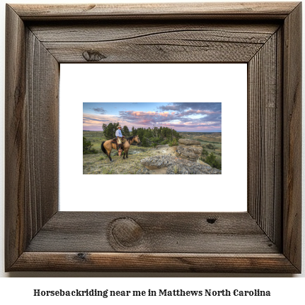 horseback riding near me in Matthews, North Carolina